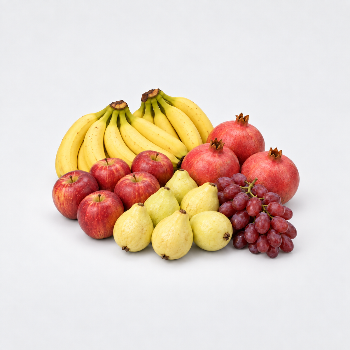 Family Refill Bundle