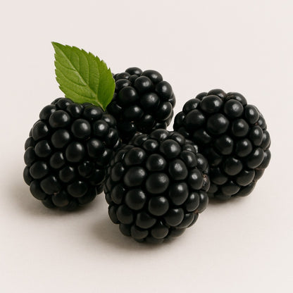 Blackberries - توت اسود