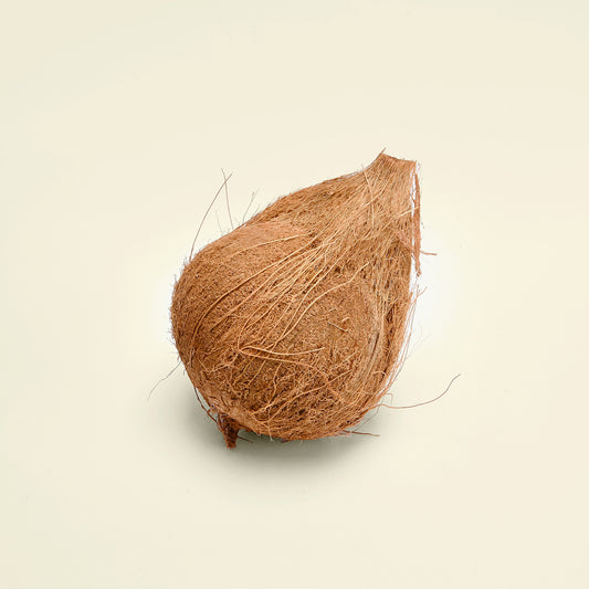 Coconut - جوز هند (1 Piece)