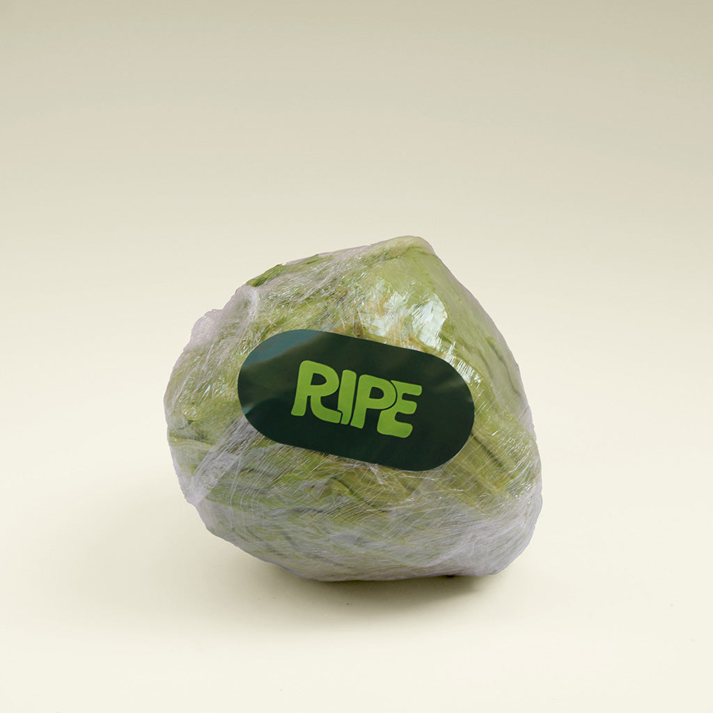 Lettuce  - خس (1 Piece)