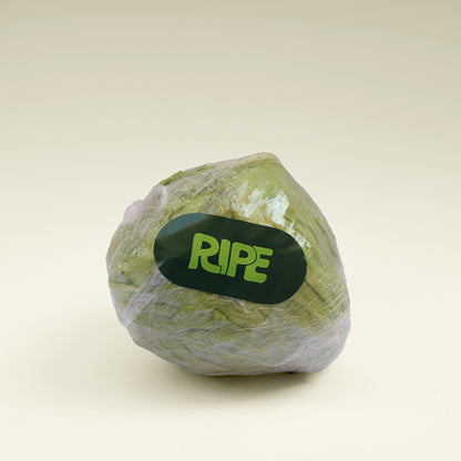 Lettuce  - خس (1 Piece)