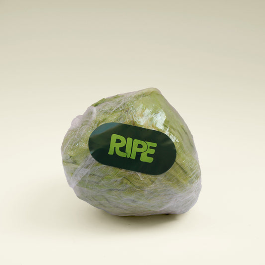 Lettuce  - خس (1 Piece)