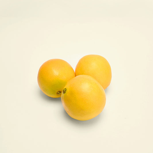 Orange - برتقال بصرة