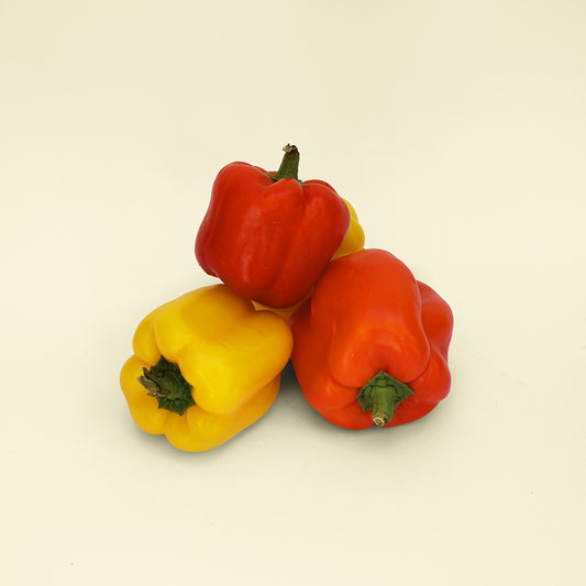 Mixed Color Bell Pepper - فلفل ألوان (500 G)