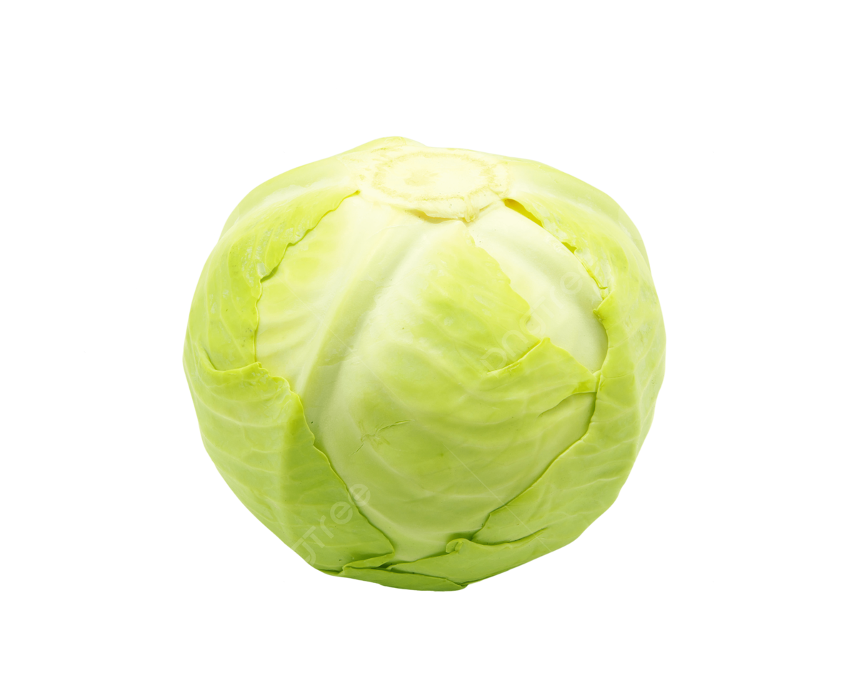 Lettuce  - خس (1 Piece)
