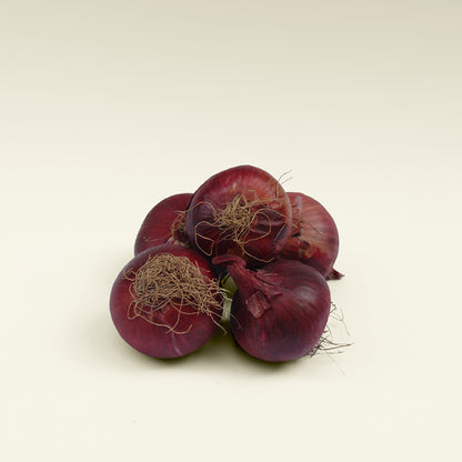 Red Onion - بصل أحمر (1 KG)