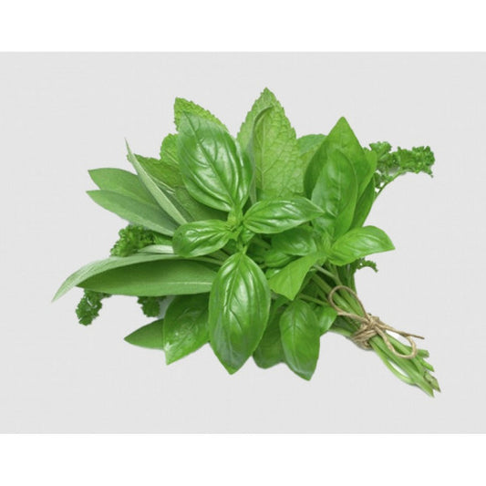Basil - ريحان (20G)