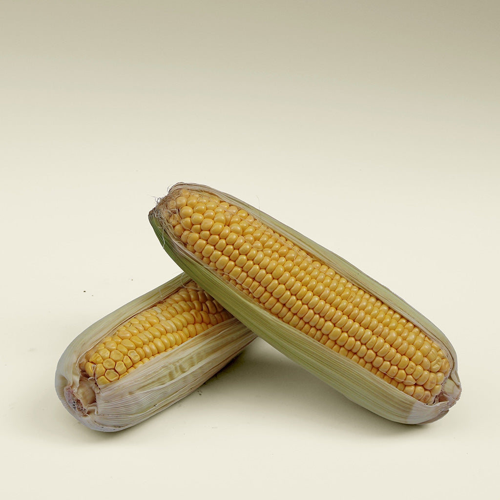 Corn - ذرة (2 Pieces)