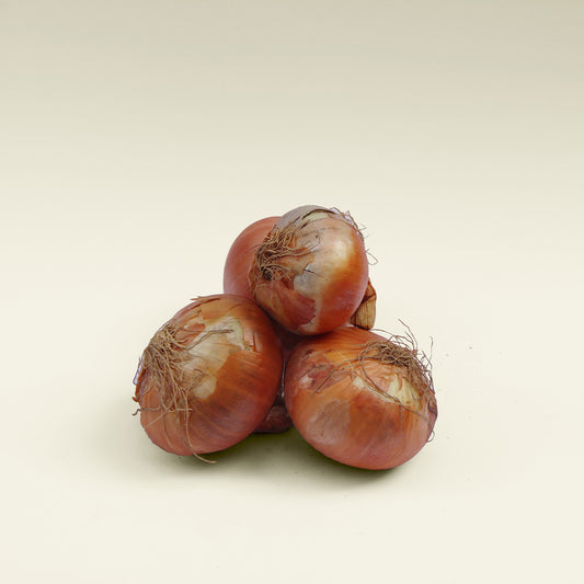 White Onion - بصل أبيض (1 KG)